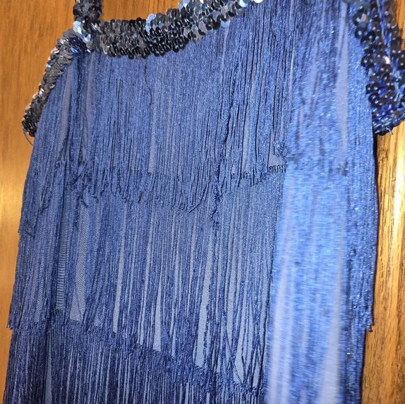 Blue Flapper Costume Dress For Women Size 12-14 Medium, Stretchy - Picture 5 of 5
